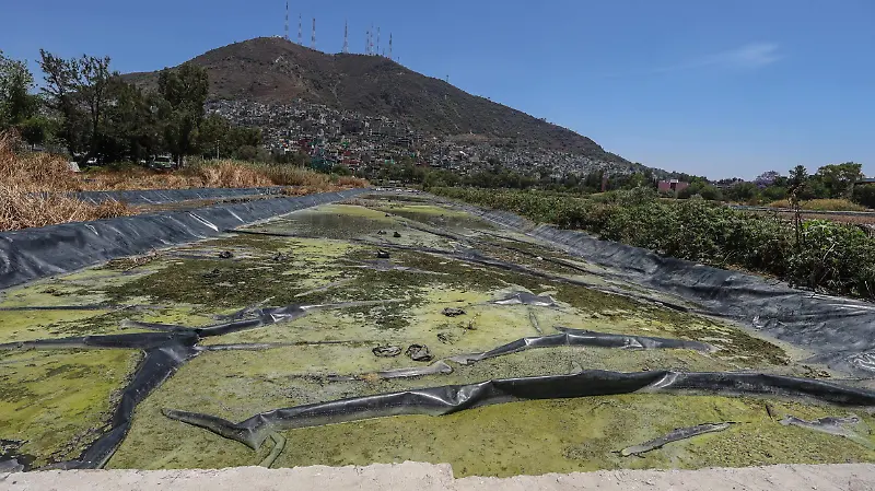 En el abandono, humedal de Cuautepec en GAM